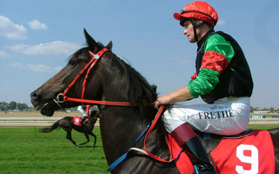 Cheltenham Races